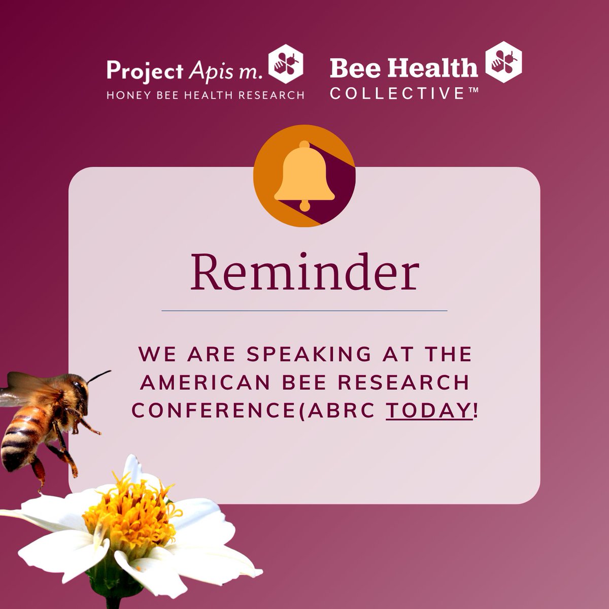 Project Apis m. tweet media