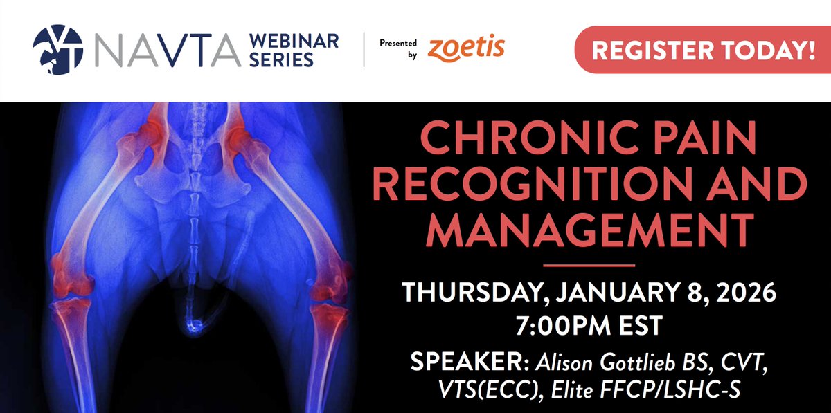 vettechs tweet media