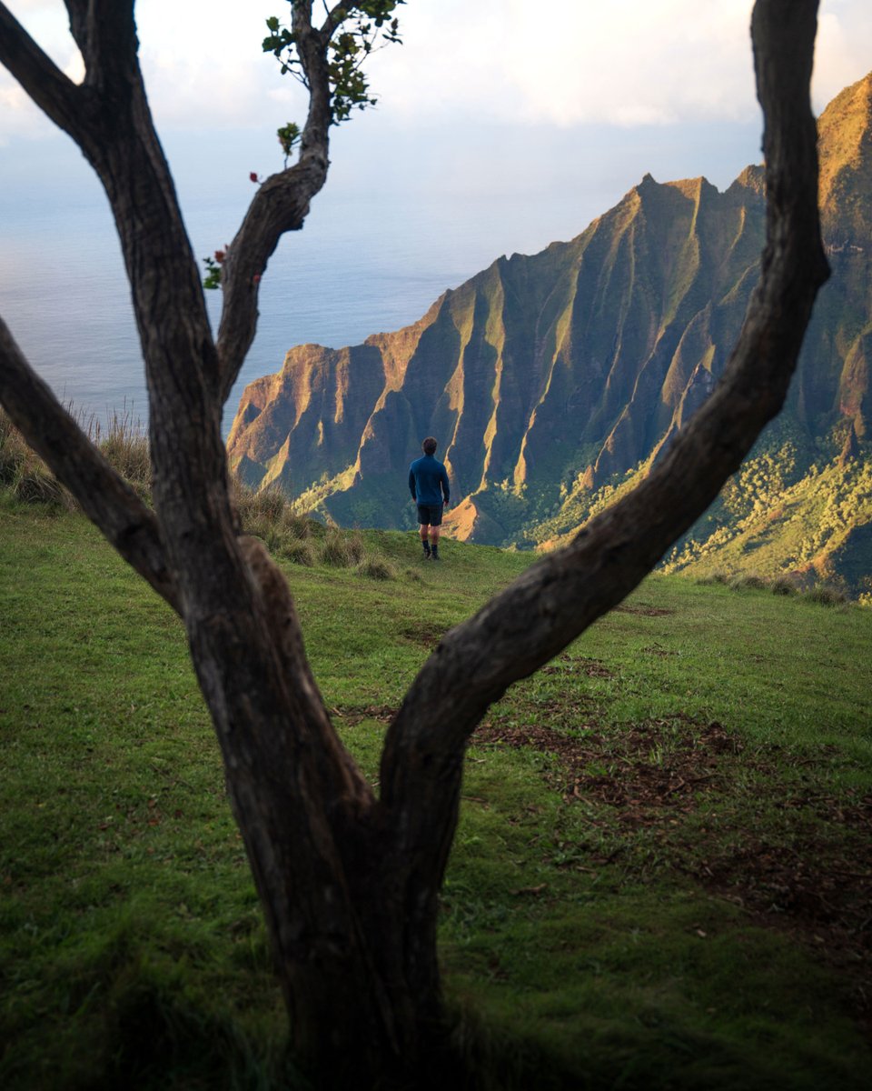 STORMTECH Performance Apparel tweet media