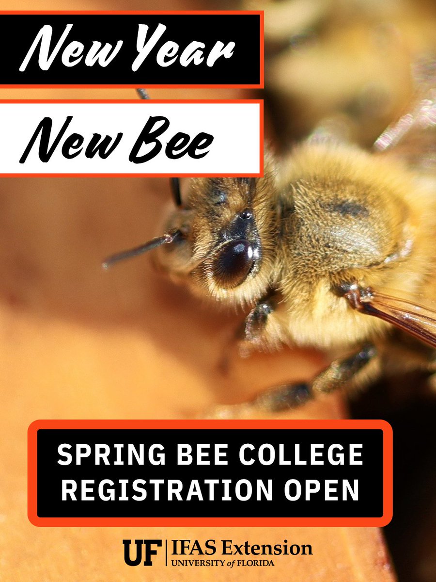 University of Florida Honey Bee Lab tweet media