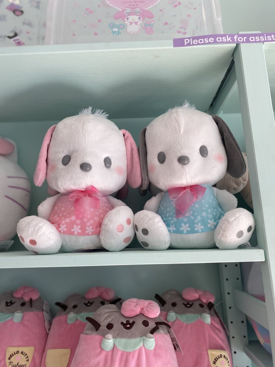 pochacco plushies 💫