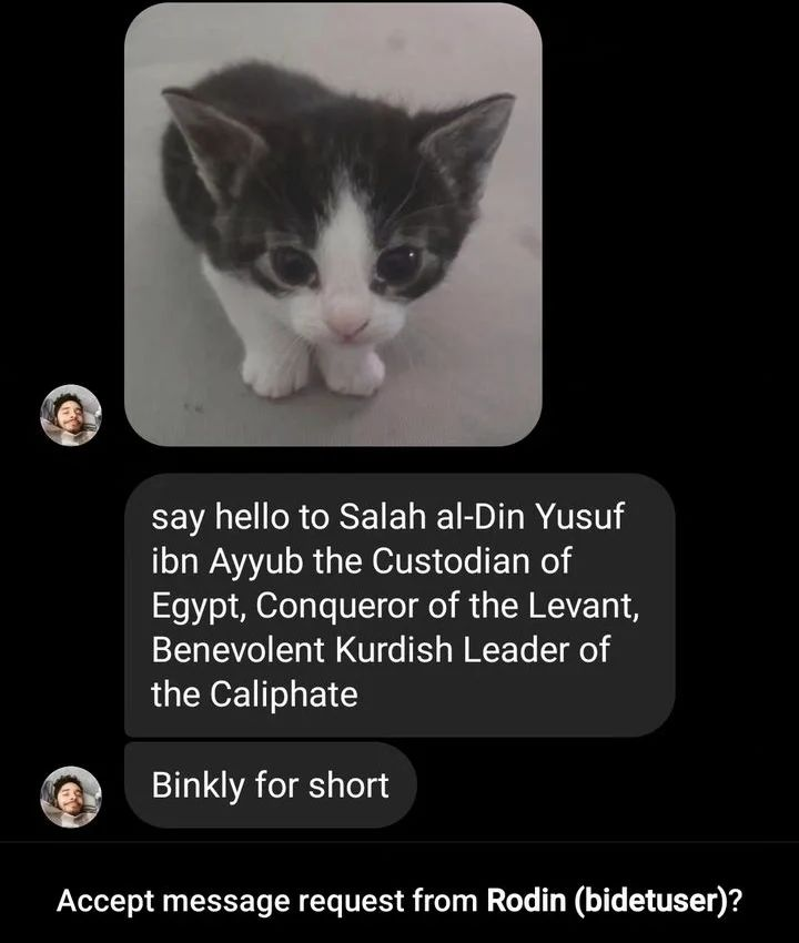 PunchingCat's tweet image. 