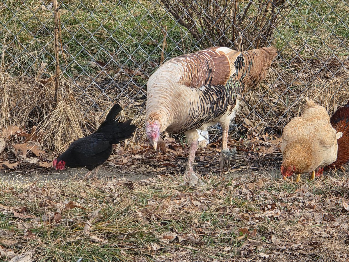 Solamira✨️ tweet media