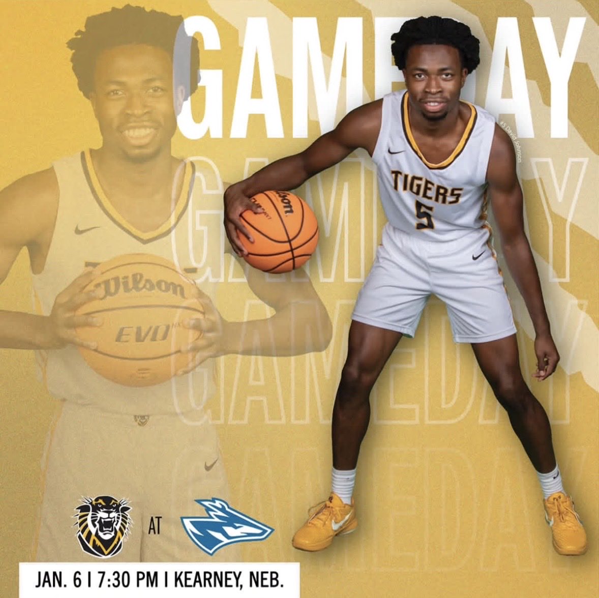 Tiger Hoops tweet media