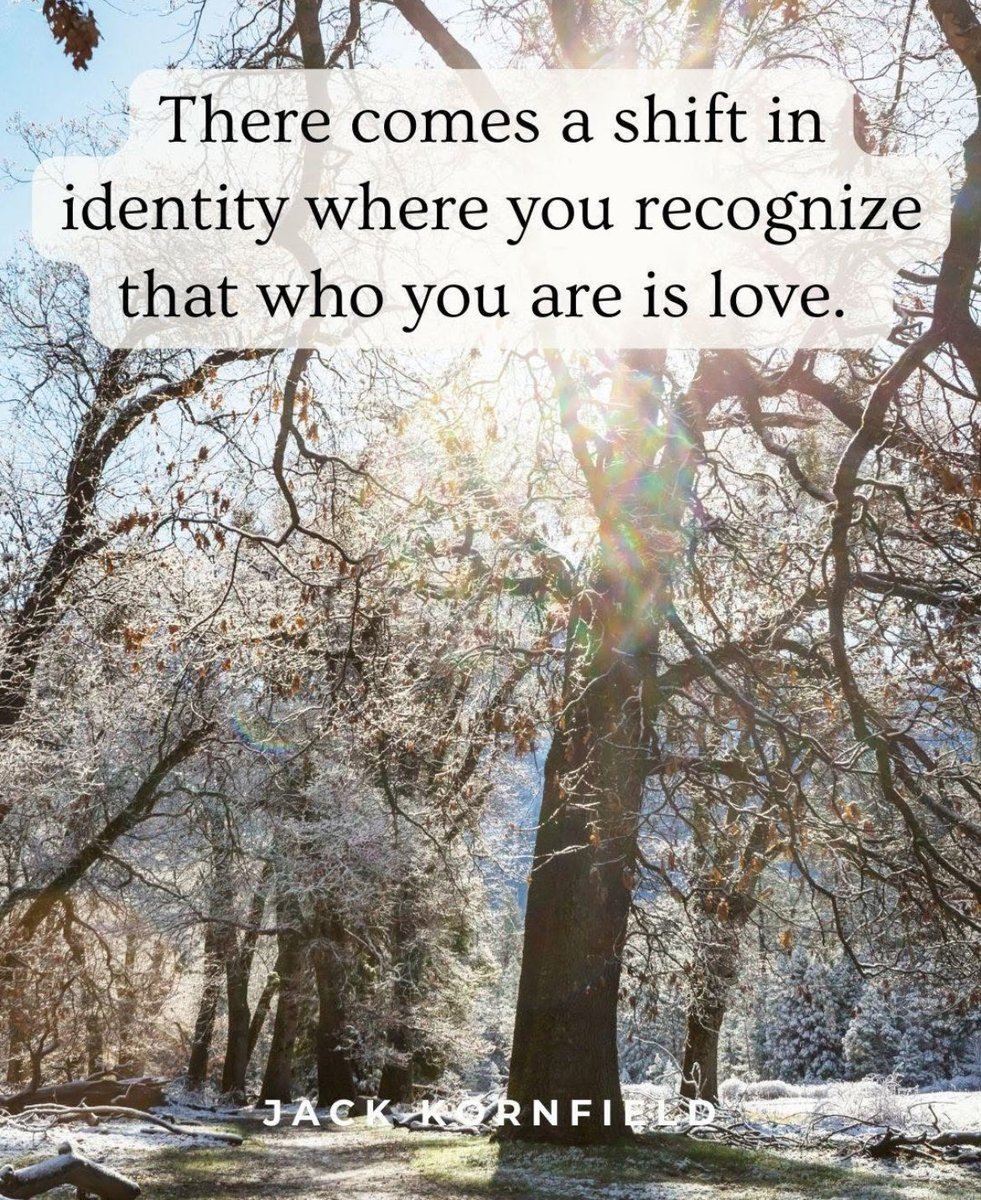 You are not your breath or your body, you are not your feelings and thoughts. Who you are is the awareness that has been witnessing it all. You are loving awareness itself. ☀️❄️

#lovingawareness #consciousness #yoga #meditation #jackkornfield