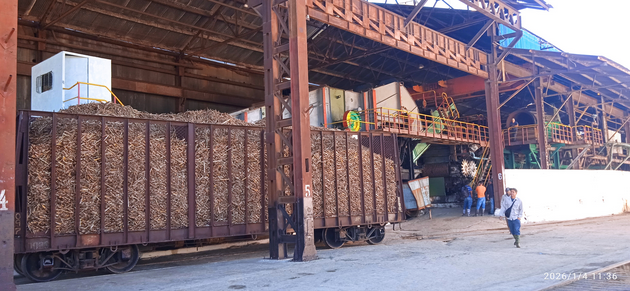 La Empresa Agroindustrial Azucarera Quintín Bandera, ha llevado a cabo la prueba de zafra, un paso fundamental que marca el inicio de los preparativos para el esperado arranque de nuestra planta industrial en los próximos días.
cmhw.cu/villa-clara/re…
#Azucareros #Zafra2026 #Cuba