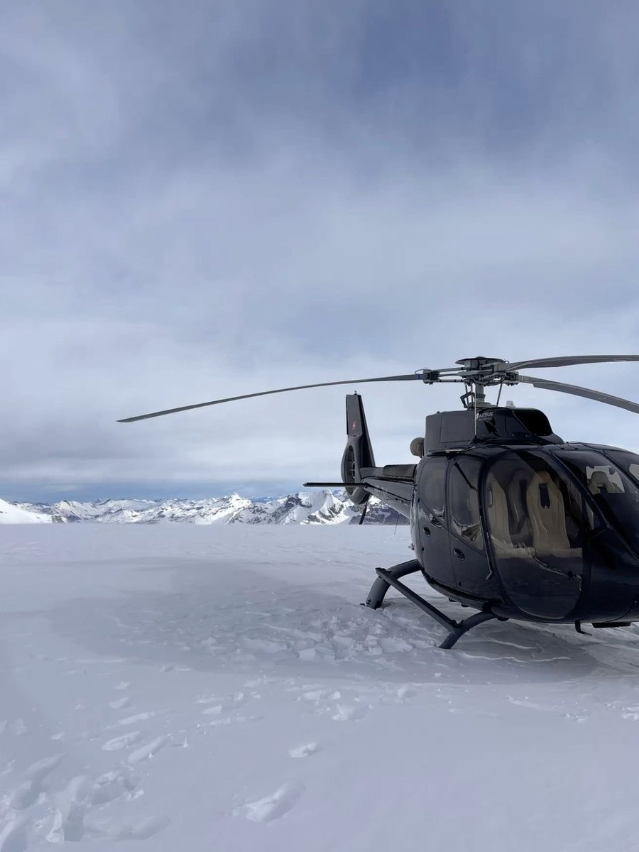 Victorius tweet media