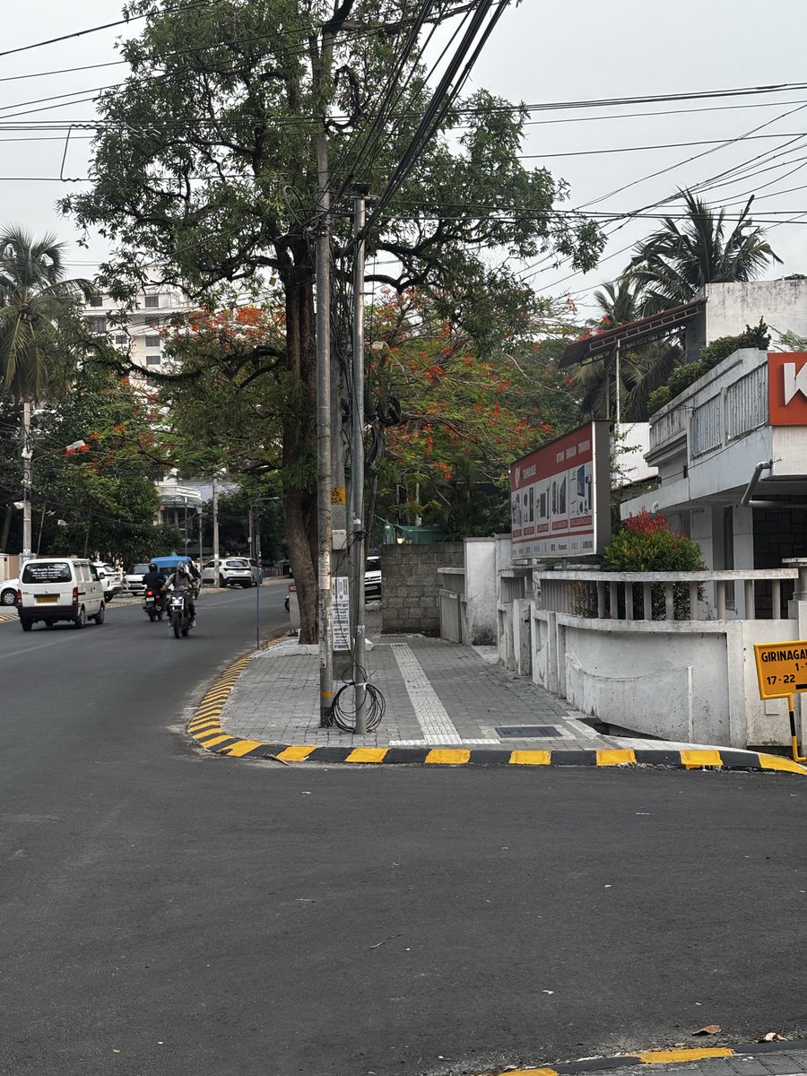 thereitsu's tweet image. Roads of Kochi. Well it’s not the same everywhere in the city but there are many places which are beautiful and well maintained !!
