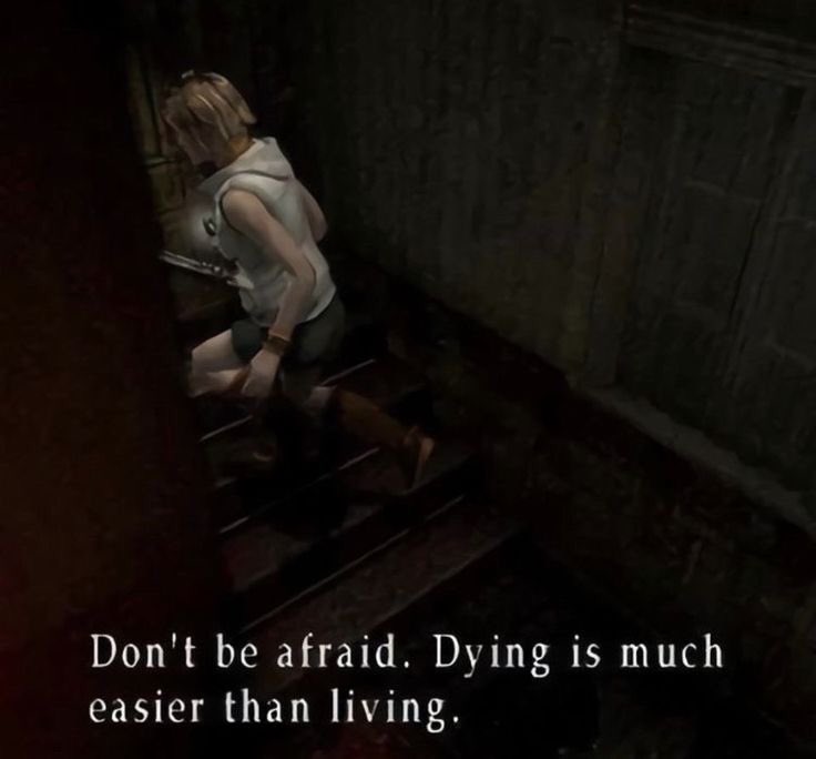 immalkwalahi's tweet image. 