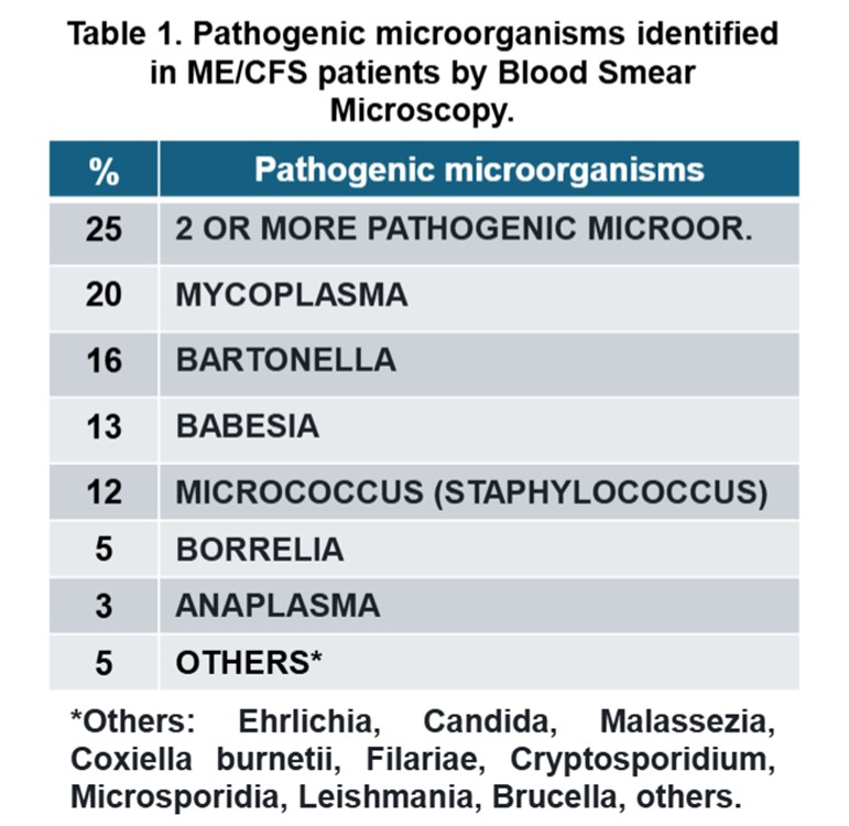 Aguirre1Gustavo's tweet image. New article:
ME/CFS: BLOOD SMEARS SHOW
THAT 90% OF CASES
ARE CAUSED BY PERSISTENT INFECTIONS BY:
MYCOPLASMA
BARTONELLA
BABESIA
STAPHYLOCOCCUS
BORRELIA
ANAPLASMA
See details of this article at:
researchgate.net/publication/39…
In 25% of cases, two or more of these infections coexist.

The…