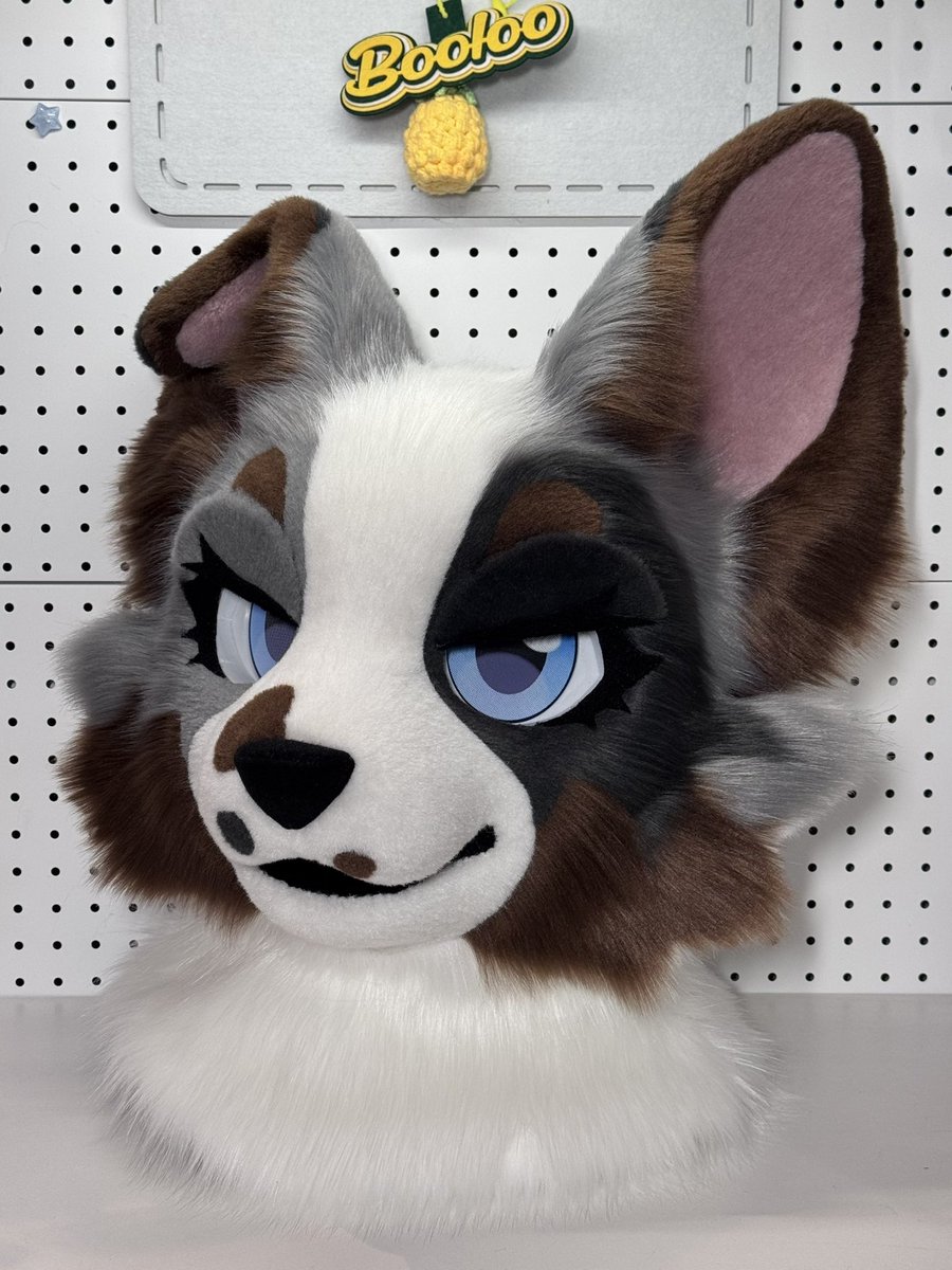 Booloo_🍍 tweet media