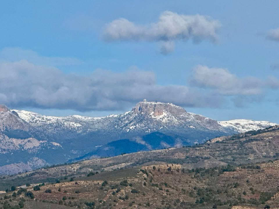 La Placeta de Lorca tweet media