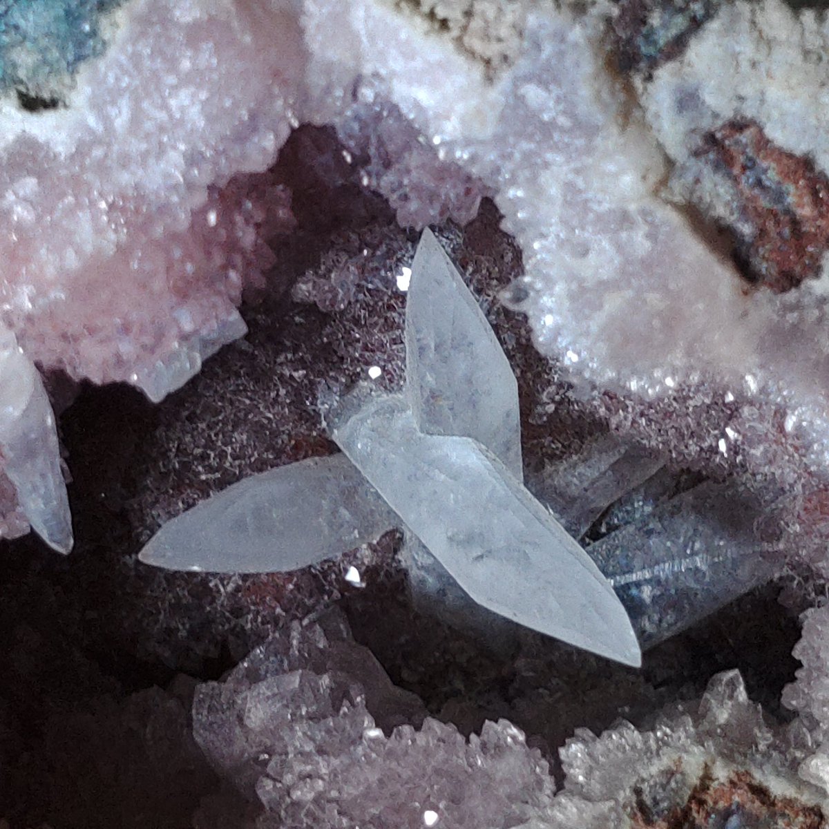 第17回開催おめでとうございます 今回はパキスタン産の犬牙状カル