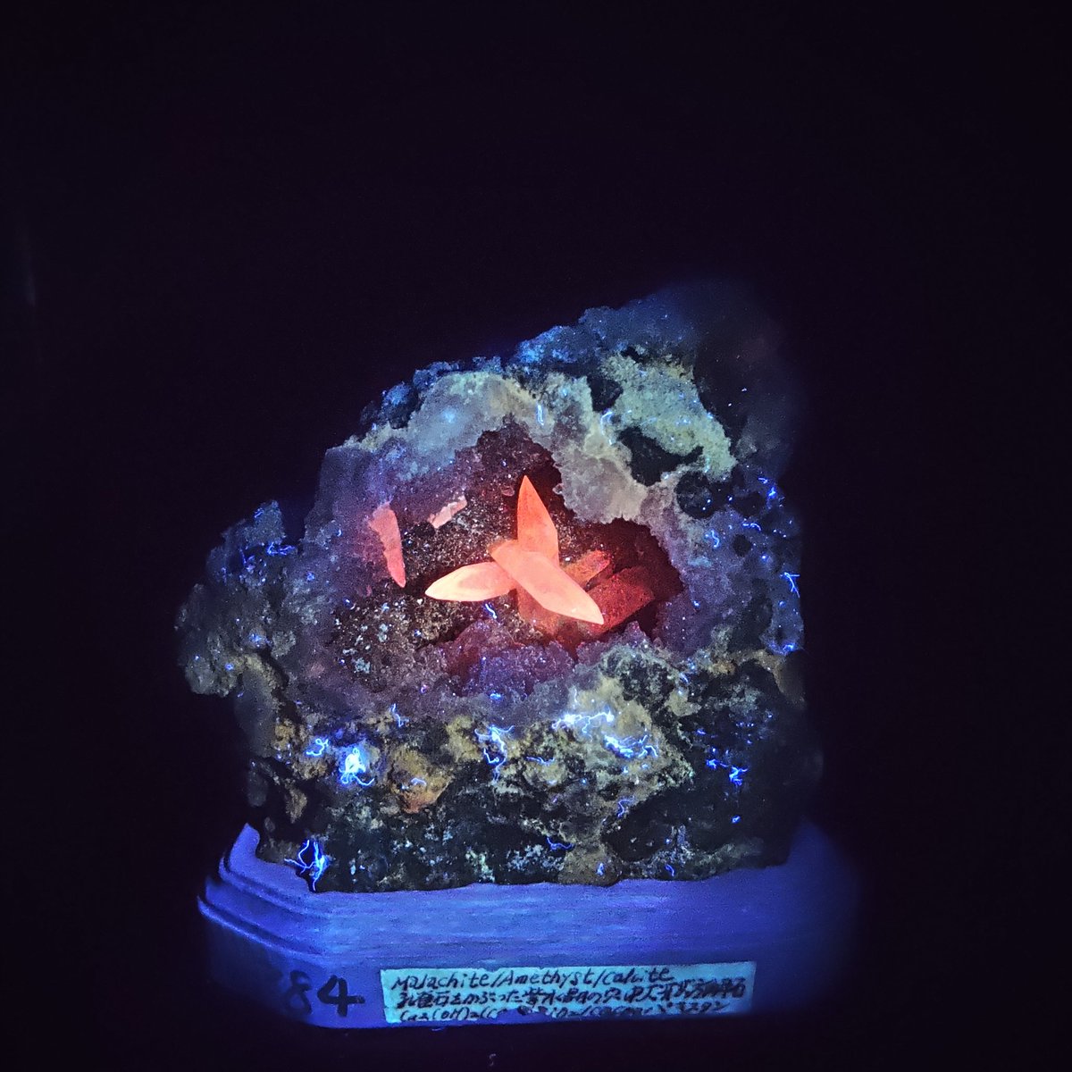 第17回開催おめでとうございます 今回はパキスタン産の犬牙状カル