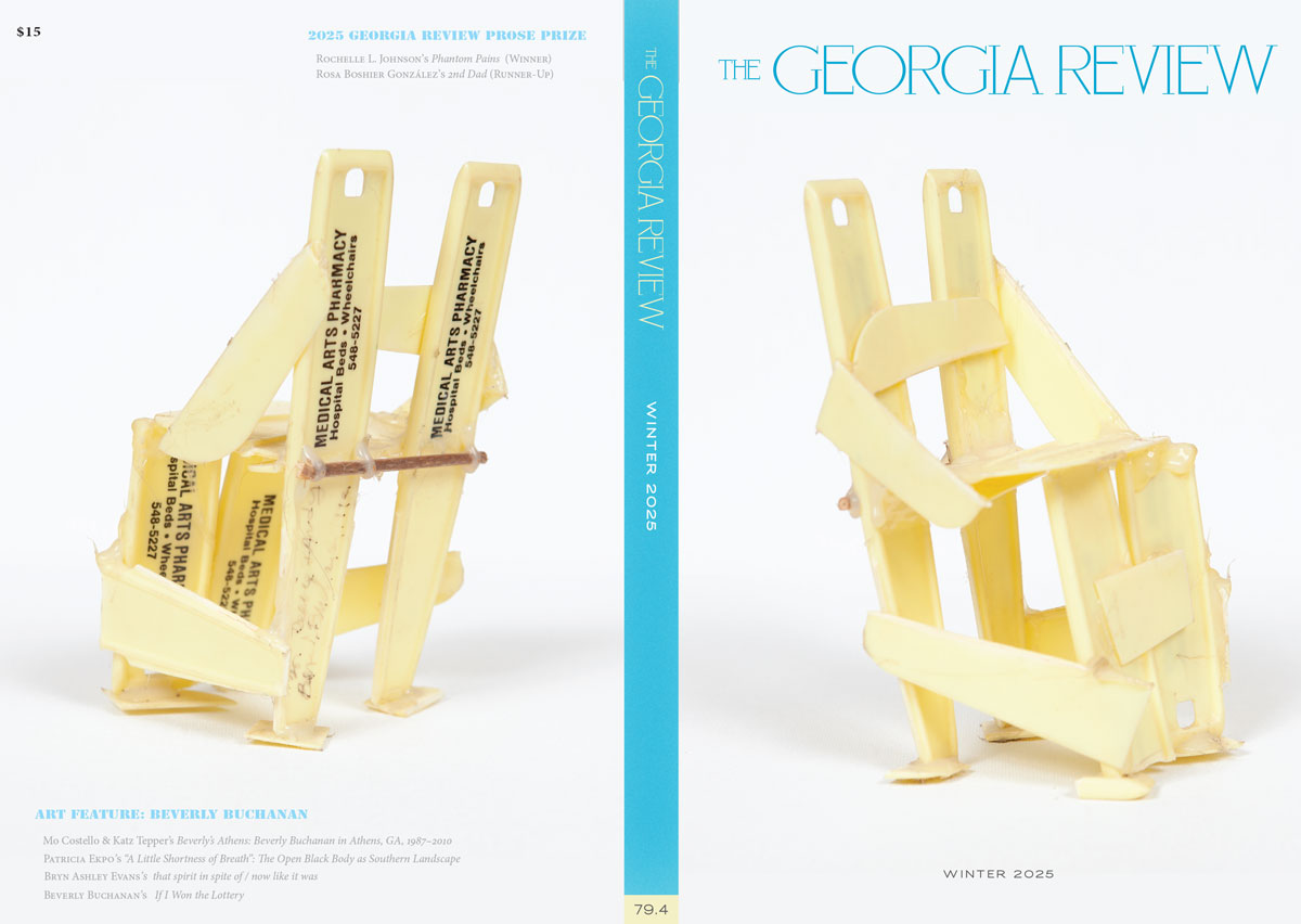 Georgia Review tweet media