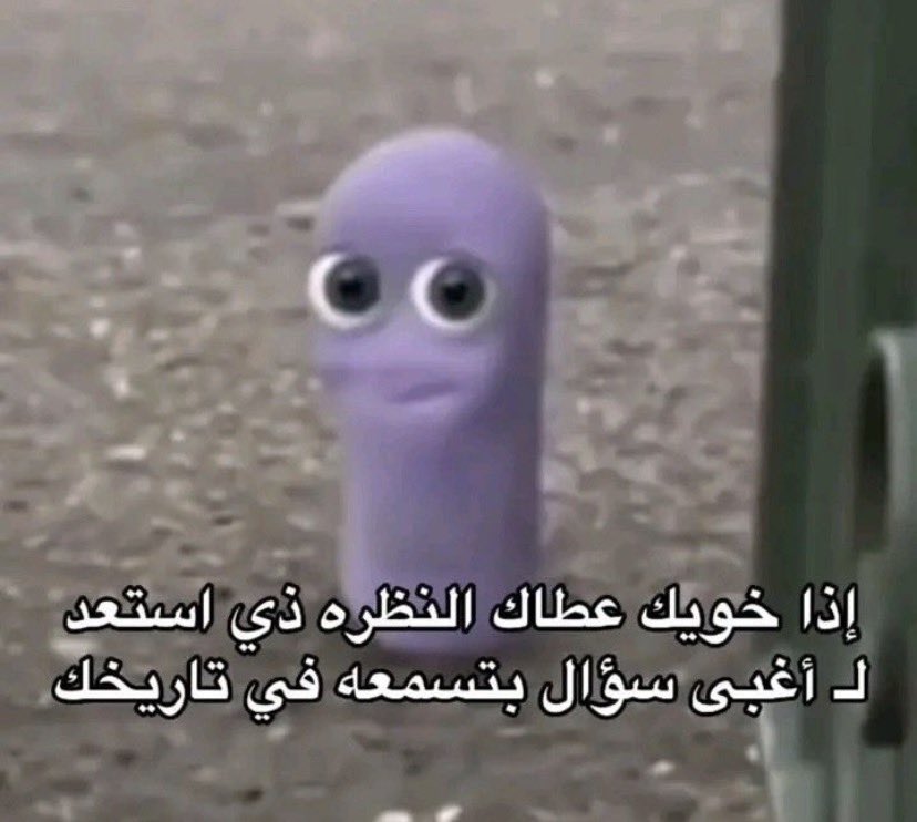 انس ماغيره tweet media