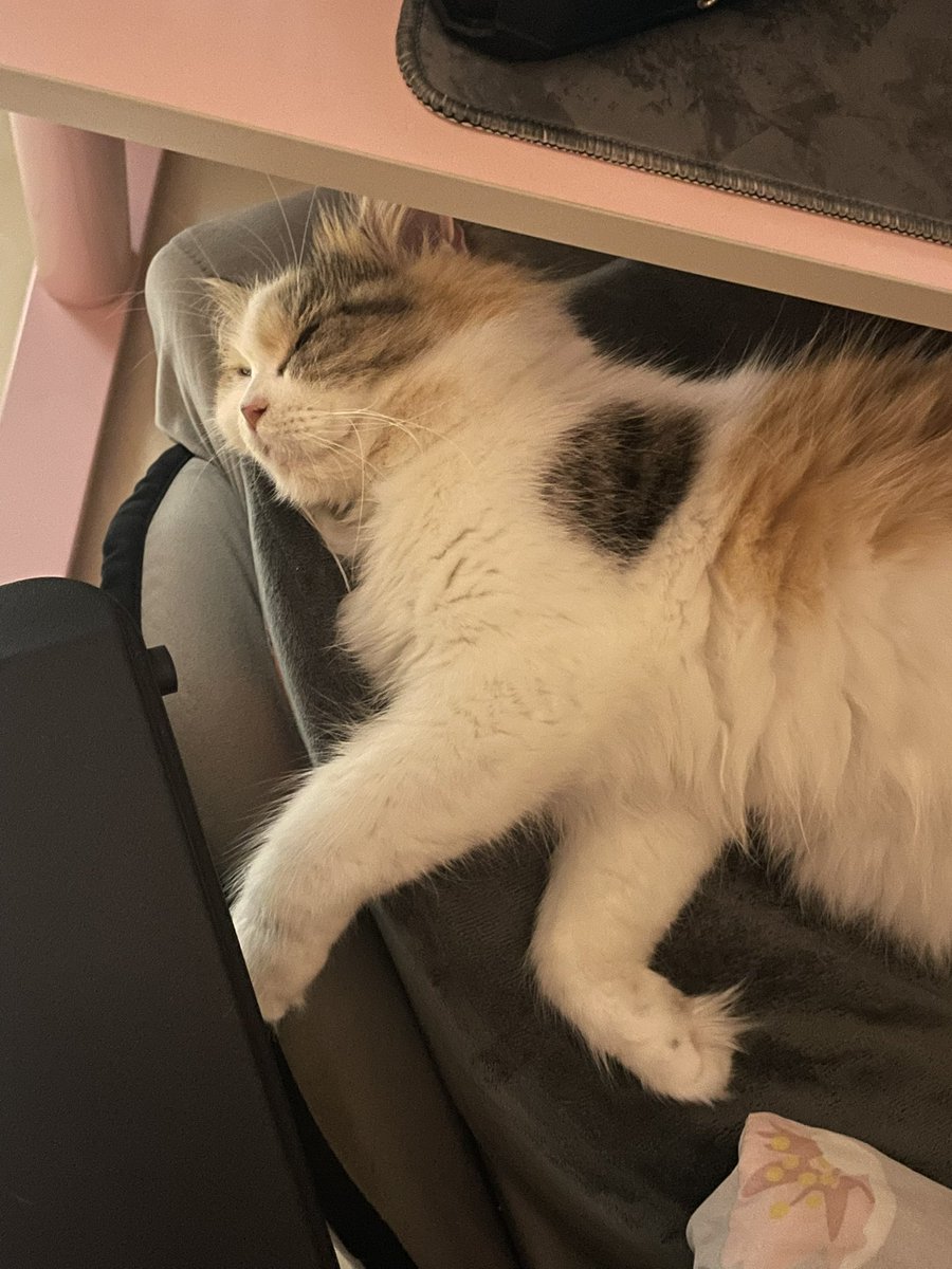 dddd (@evecodia) on Twitter photo 