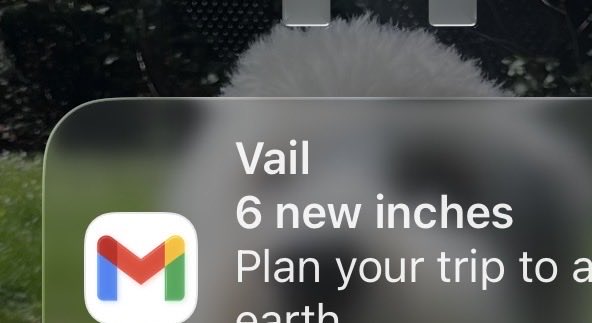 SmallParcelGuy's tweet image. I wish, @vailmtn