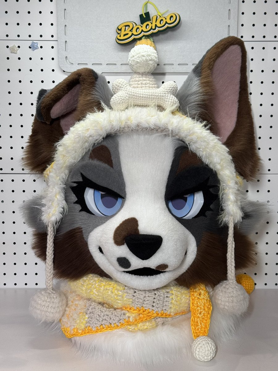 毛绒番茄 tweet media