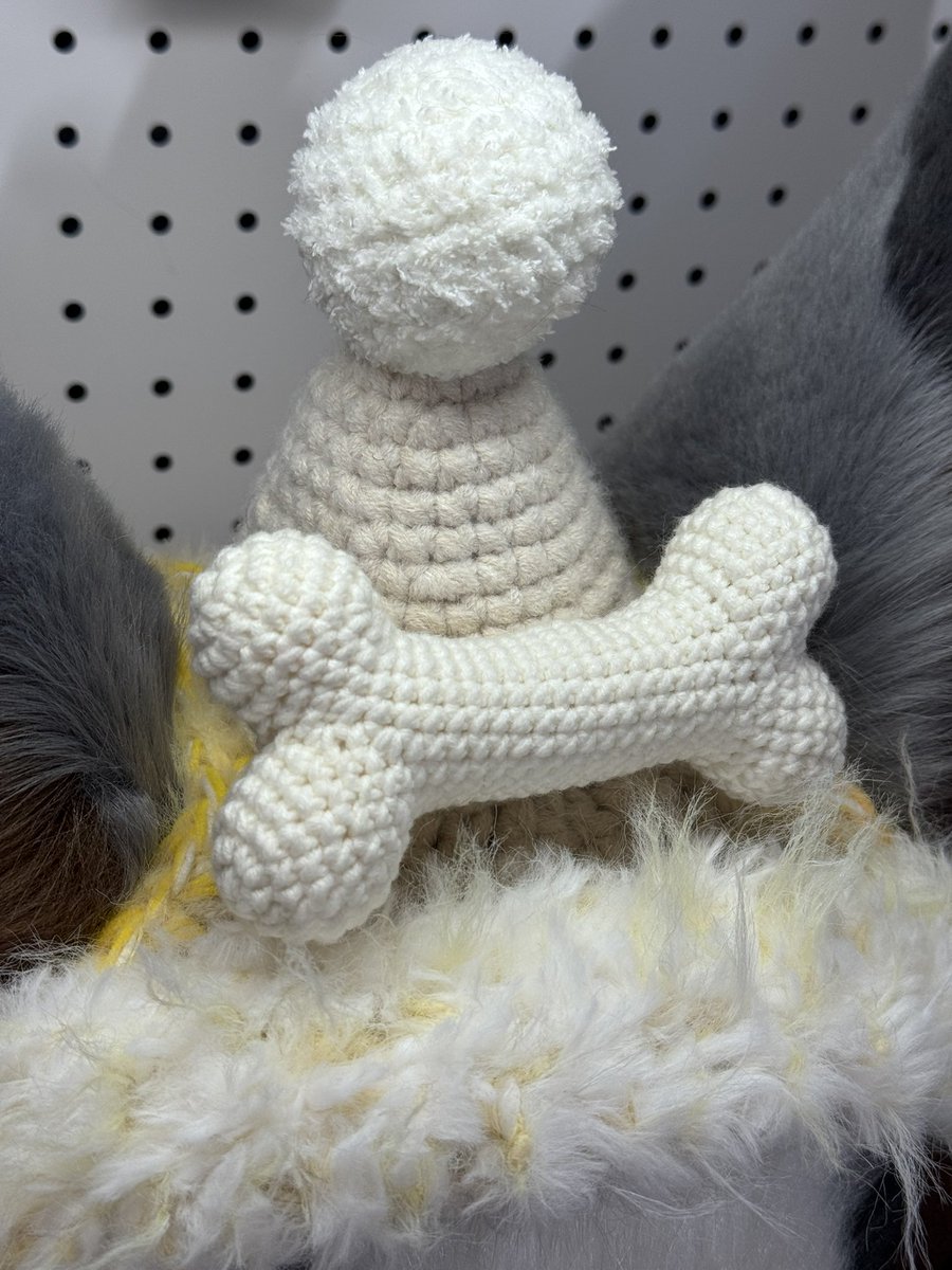 毛绒番茄 tweet media