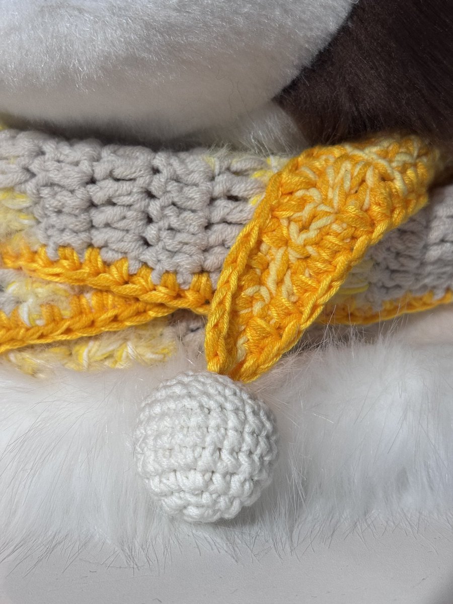 毛绒番茄 tweet media