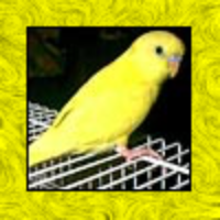 lfcfnj's tweet image. 