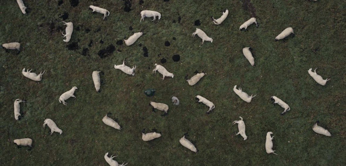 𝗣𝗵𝗼𝗲𝗻𝗶𝘅 🎬 tweet media