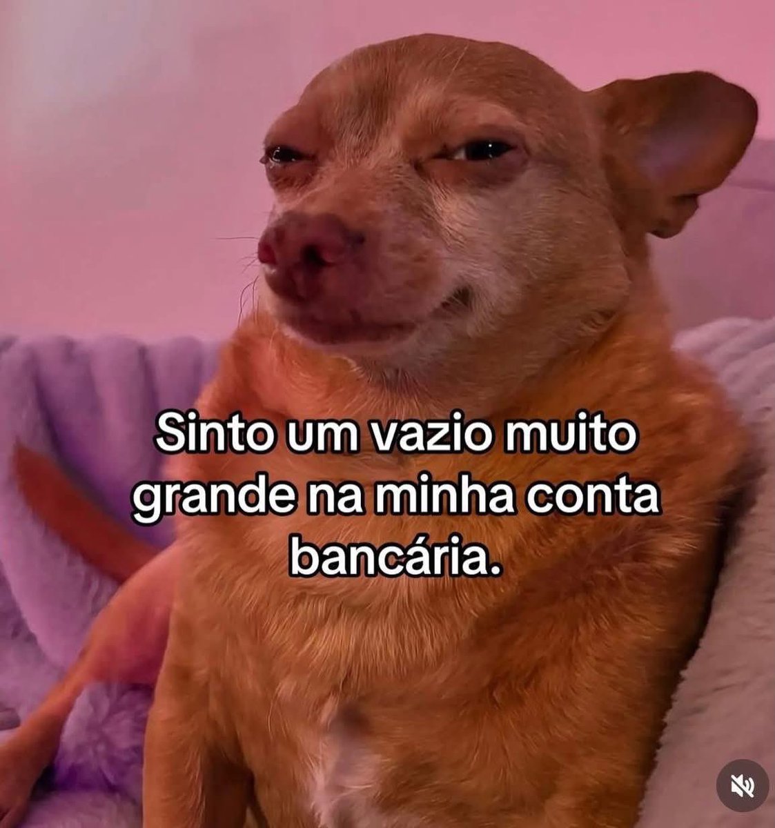 paginalixo1's tweet image. 