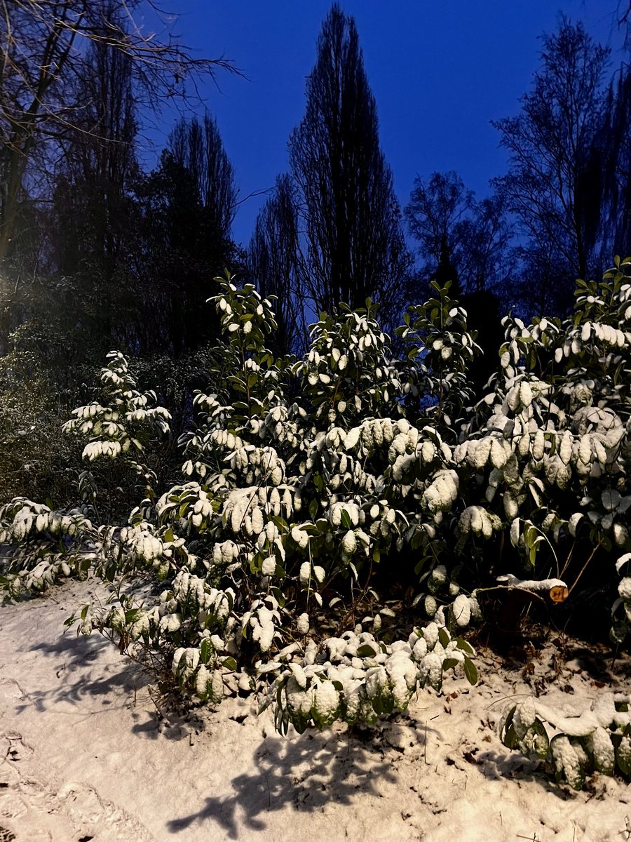 ethereal tweet media