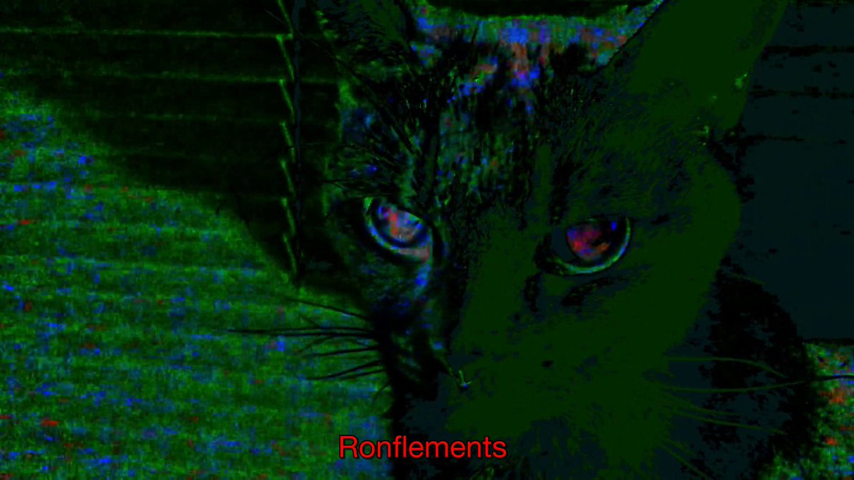 La Ronronthèque tweet media