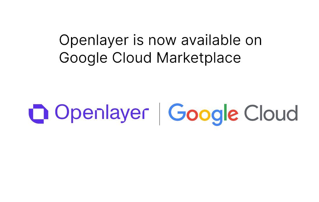 Openlayer tweet media