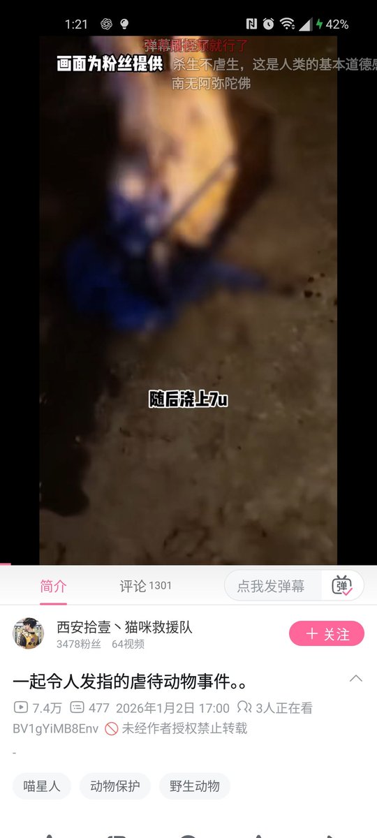 ミドナ tweet media