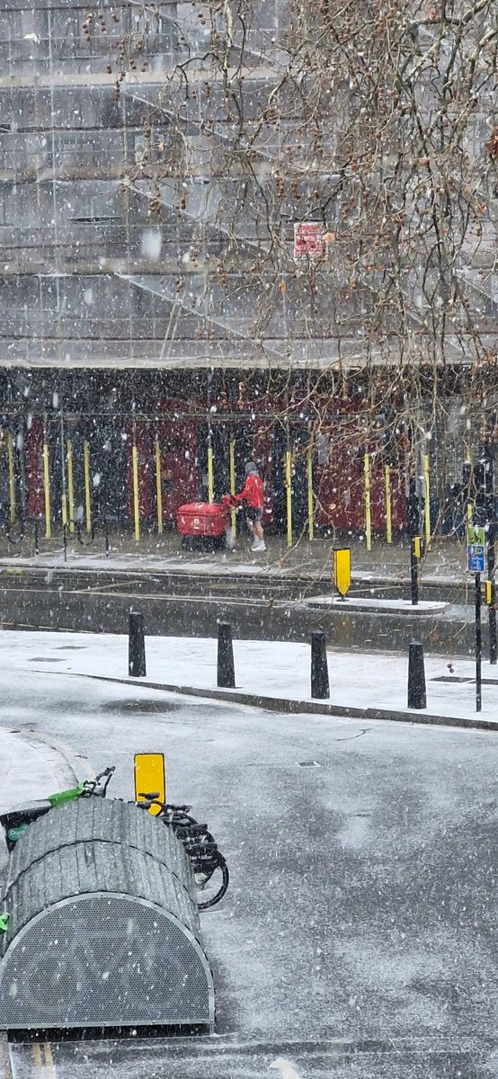 MyFaceBothered's tweet image. Postie in shorts in the snow. Standard