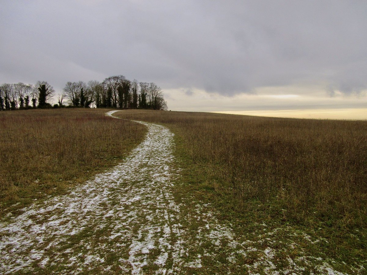 This afternoon at The Gog Magog Downs, Cambridge, temperature 2°c…<a href="/StormHour/">#StormHour</a>