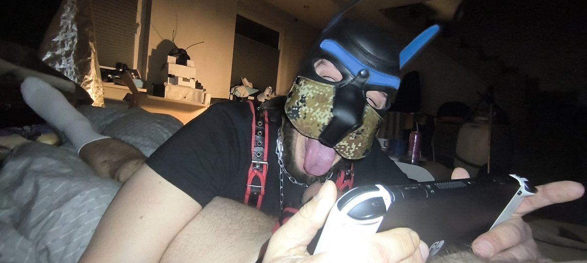 hexthepicaro's tweet photo. A little fun while gaming
#hex #hexthepupp #puppy #puppyplaycomunity #puppyplay #kinky #fetish #puppyplayfetish #PuppyLove #gay #hexandnoct #puppycouple #noctpuppy #noct https://t.co/dF8q0uE05u