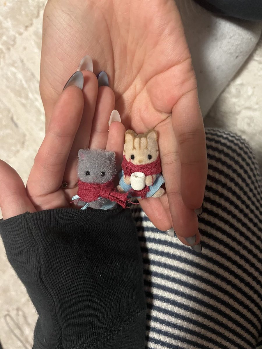 cute daily ✧˖° tweet media