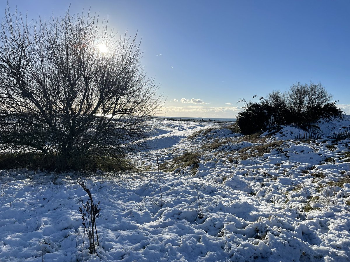 Pour vous distraire un peu la côte vendéenne sous la neige ⛄️ #affaireconclue