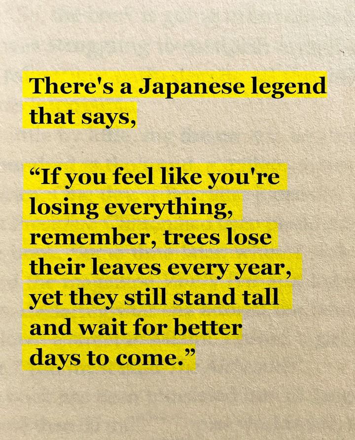 Words of Wise | Mindset Coach (@wordofwise_) on Twitter photo 