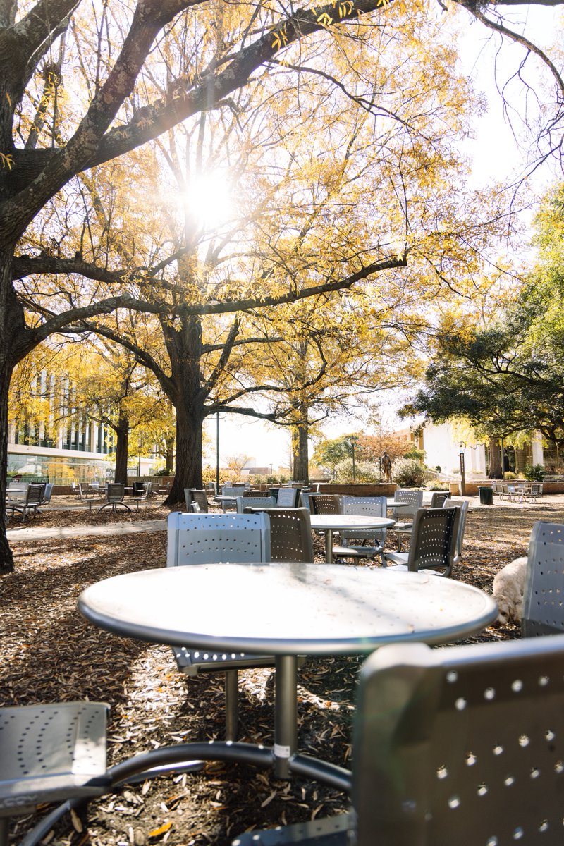 UofSC's tweet image. The calm before campus is alive again...