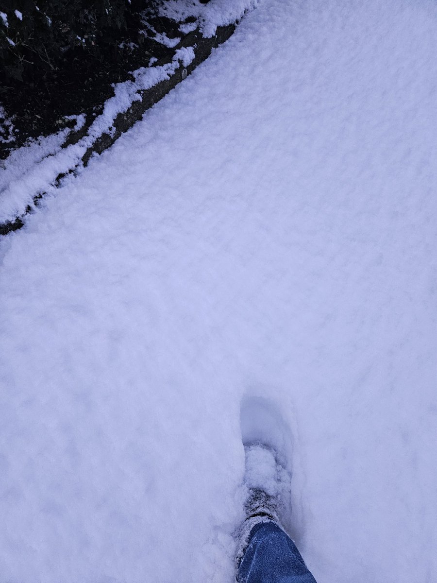 fabrice brivady tweet media