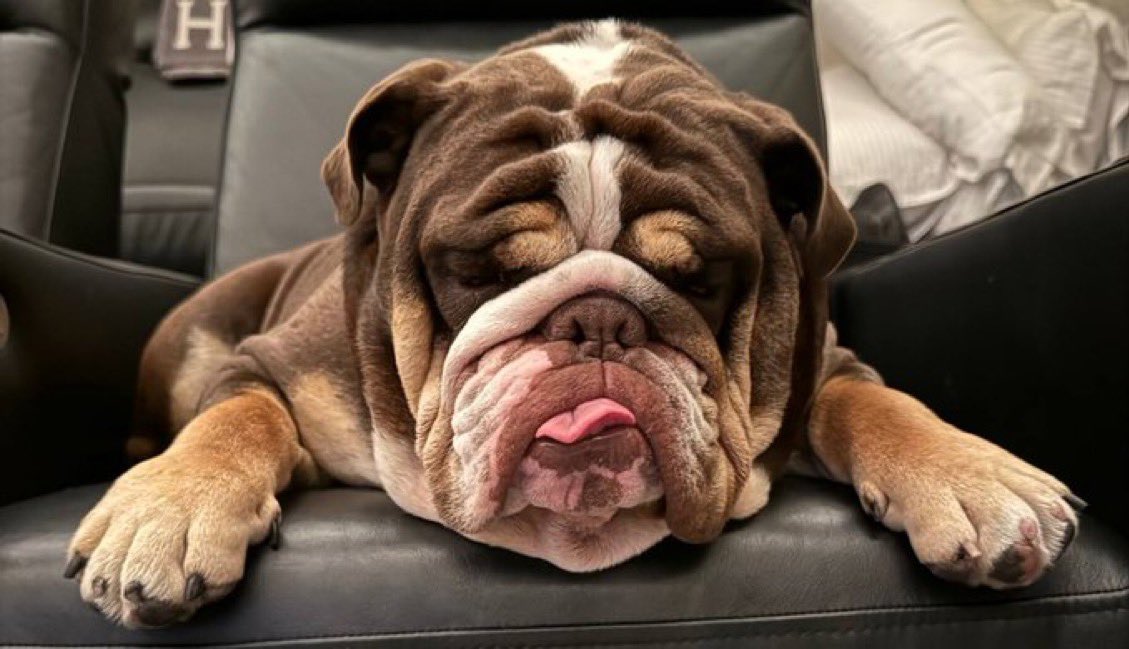 Isn’t this the most handsome face you’ve ever seen?