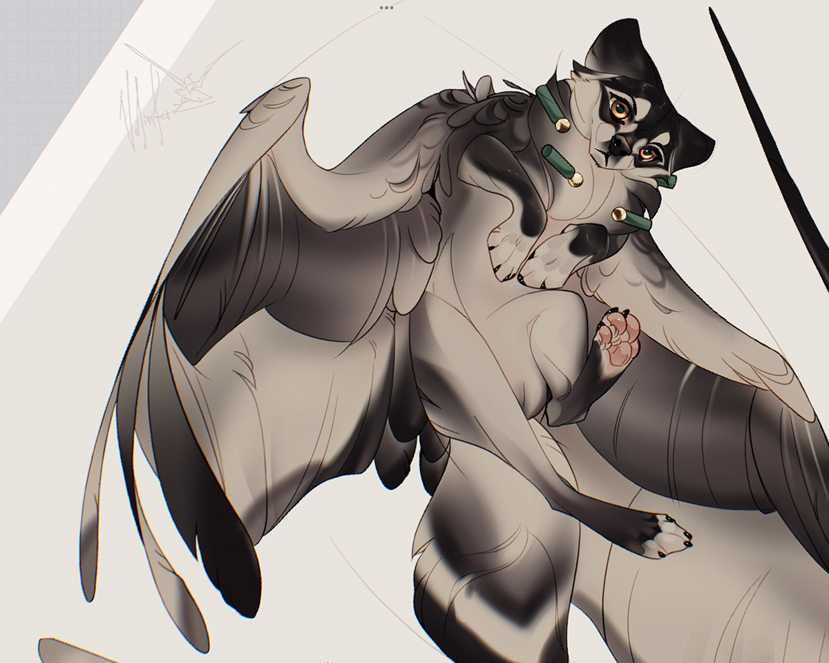 Lil jackal got no sweet present chocolate gift box 😭😭