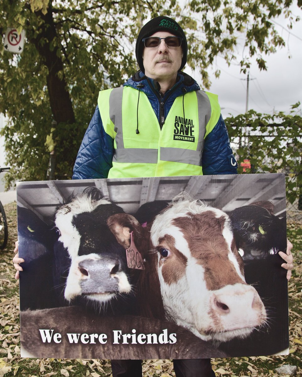 Friends, their lives callously taken together at the slaughterhouse.

Don’t be a friendship destroyer.
Join us in being vegan and being active to help keep friendships protected and sacred, for all species.
#animals #dogs #FriendshipGoals