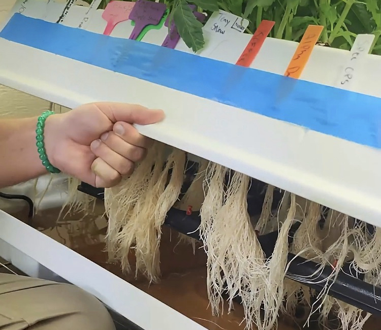 KeyToLifeSupply's tweet image. “Dropped 1 ENDzyme pod into my cloner. Ten days later I was shocked by what I saw.” 🤯

Simple change. Real results.
#keytolifesupply #ENDzyme