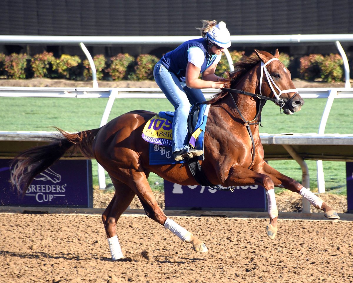 What royally bred, Grade 1 winning son of Curlin comes in at #3 on our second installment of Sire Watch (Best Values Standing for $10,000 to $15,000)?    

thoroughbredreview.com/sire-watch/

<a href="/Gainesway/">Gainesway</a> <a href="/DarleyAmerica/">Darley in America</a> <a href="/DarleyStallions/">Darley</a>
<a href="/HillnDaleFarm/">Hill 'n' Dale Farms</a> <a href="/ihstallions/">Ironhorse Stallions</a>