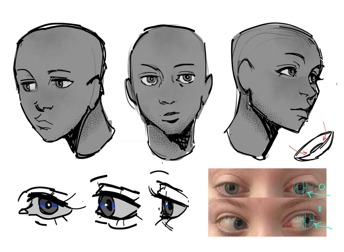 rina_smo's tweet image. If I could give one portrait drawing advice, it’d be eye parallax effect, Idk if there’s a specific terminology for it.

Eyes is the most valuable part of the portrait and when character’s pupils are drawn wrong I always feel uncanny valley effect