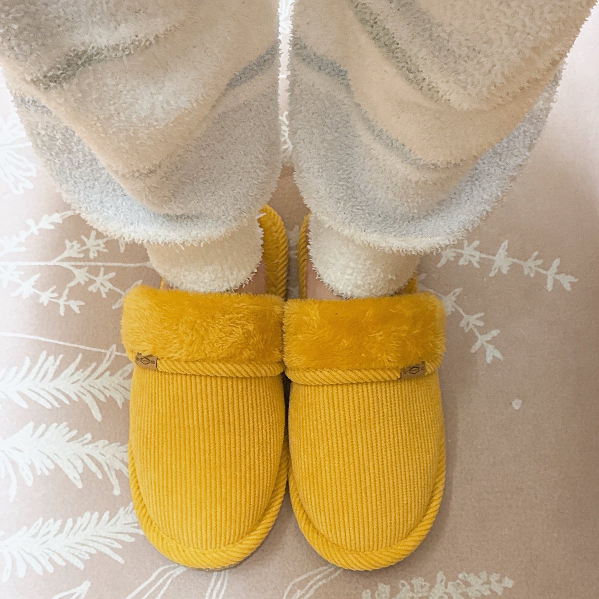 せいかいは…黄色🟡でした！！！ くまのプーさんすおう🧸🟡