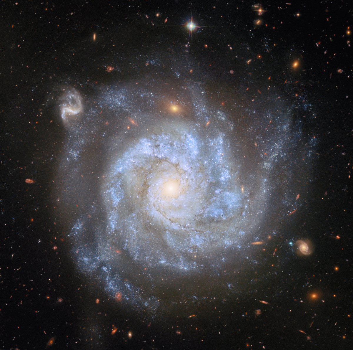 RTB_HRoss's tweet photo. Every speck or smudge in this Hubble Space Telescope image is a galaxy except for the spiked star at the top. The foreground spiral galaxy is 100 million light years away. The most distant galaxies are 13 billion light years away. https://t.co/S9nOW3vtKO