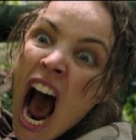 ᵂᴵᴸᴸ tweet media