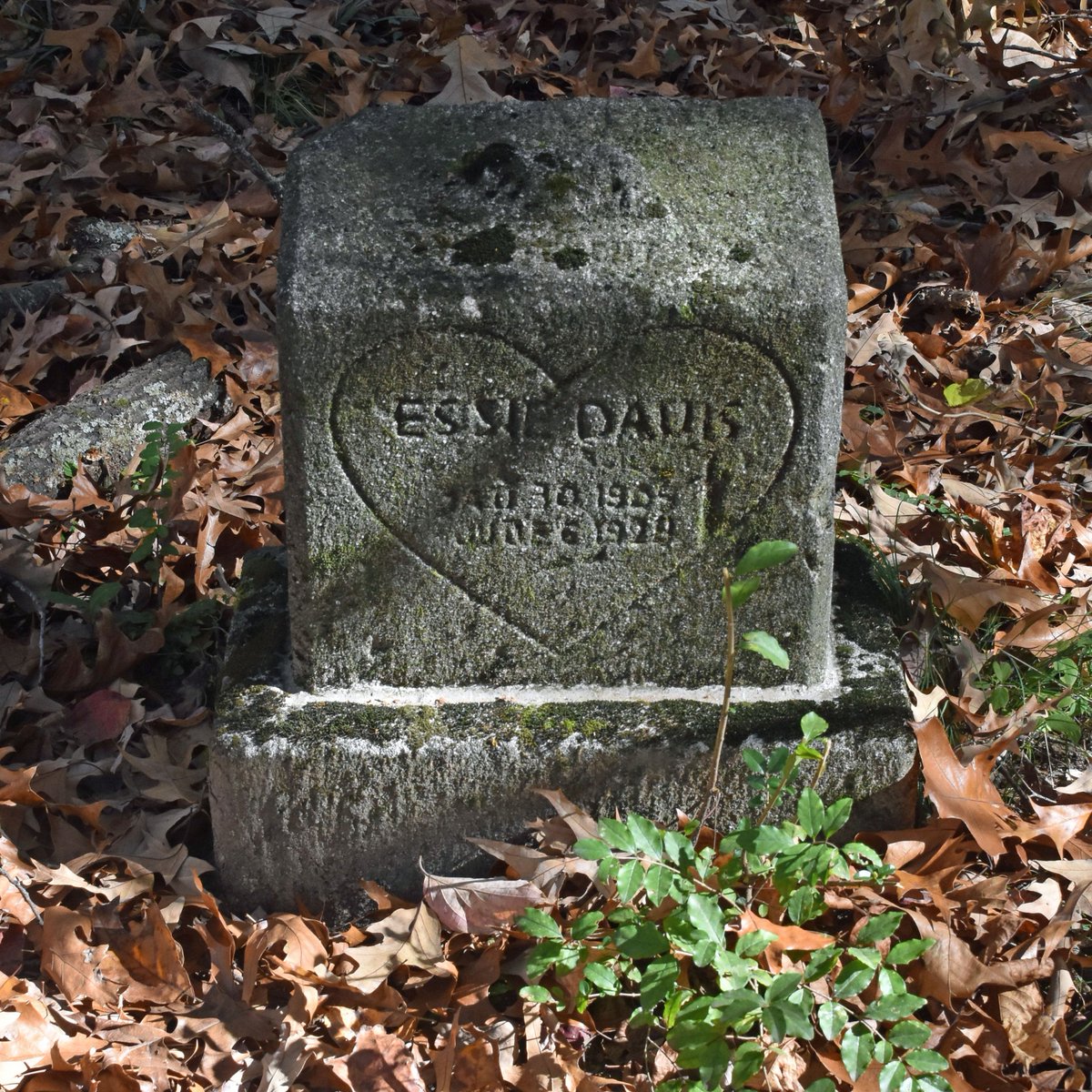 Join Buckhead Heritage &amp; the Atlanta International School for a clean-up day at Mt. Olive Cemetery. We will rake and bag leaves in the historic cemetery. The event is scheduled Monday, Jan. 19, from 1-3 p.m. Bring a rake and gardening gloves. Bags and water will be provided.